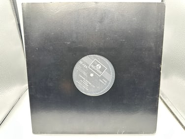 Paul McCartney: Temporary Secretary (2003), Limited Edition - hand-numbered 431/500, 12-inch