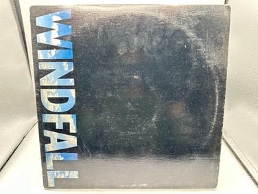 Windfall: Self-titled (1983), music described as Heavy Metal/Arena Rock/Glam