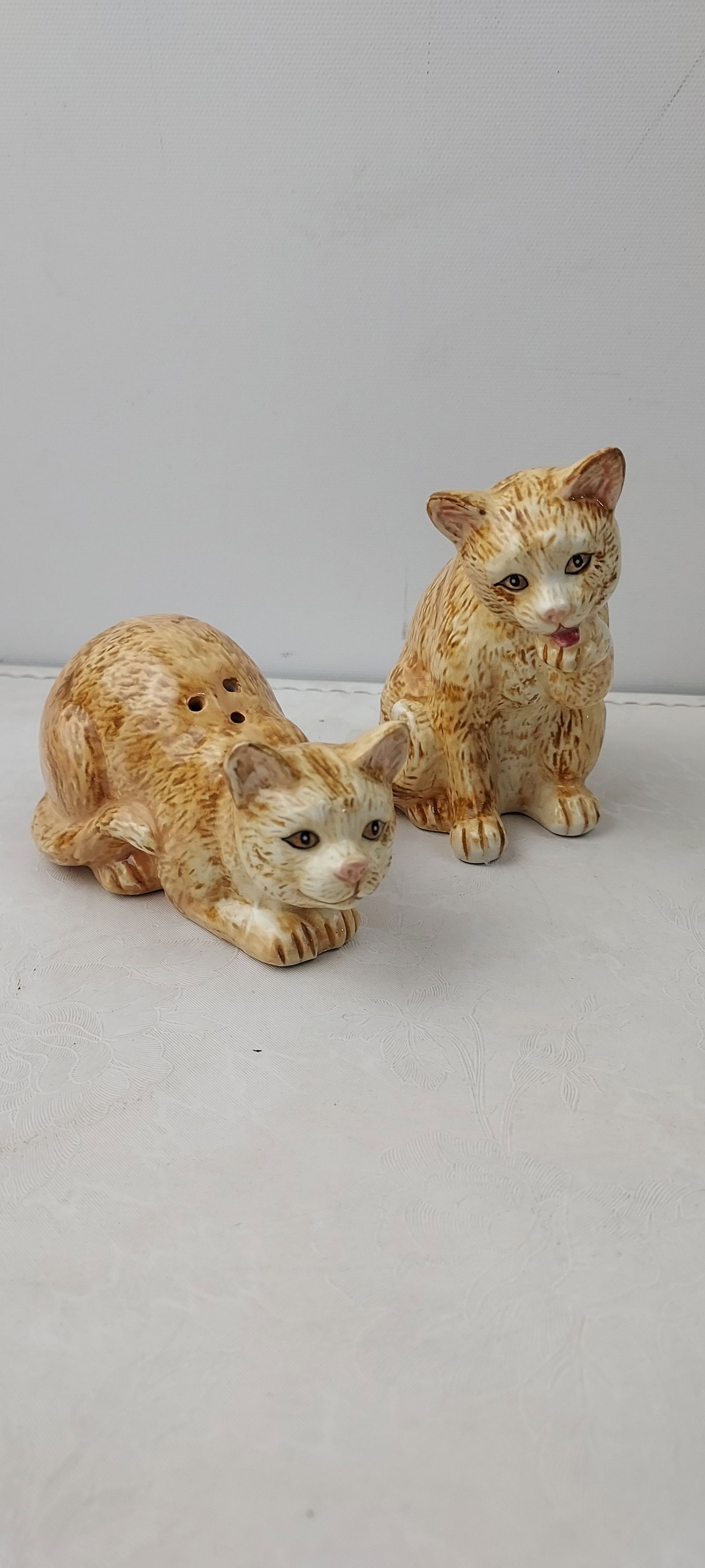 A Pair of Ceramic Tabby Cat Salt and Pepper Shakers: This lot features a pair of ceramic salt and pepper shakers, crafted in the likeness of domestic tabby cats. One cat is depicted in a reclining or crouching pose, featuring two shaker holes on its bac