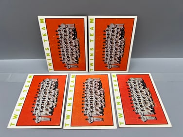 Lot of (5) 1964 Topps Minnesota Twins Baseball Team Card #318