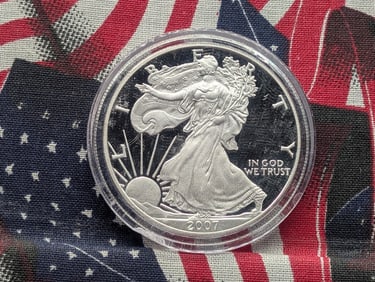 2007-W  American Silver Eagle .999 Fine Silver One Troy Ounce MS in Capsule