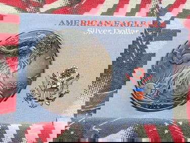 2002 American Silver Eagle One Dollar, Toned