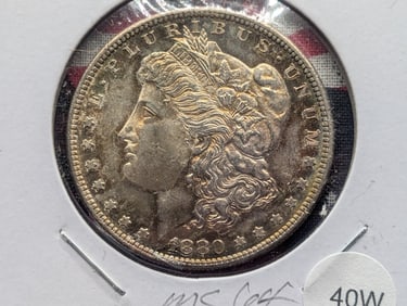 1880-S Morgan Dollar - MS