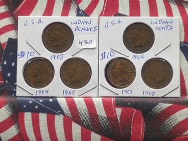 Six Consecutive Date Indian Head Pennies - (1903 to 1908)
