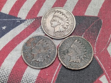 1901, 1904, 1906 Indian Head Cents