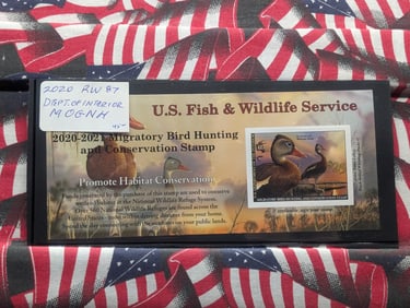 2020 Department of Interior Duck Stamp - MOGNH