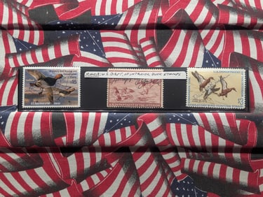 Three Rare Department of Interior Duck Stamps - MOGNH