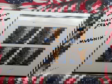 Extremely Rare 2019 Big Bend Plate Block Stamps - MOGNH