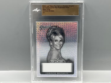 2022 Leaf Metal Pop Century Glamour Graphs Christie Brinkley Pre-Production Proof Mojo Silver #1/1