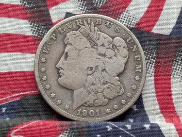 1901-S Morgan Dollar. Tough Date. Very original (not cleaned).