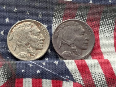 1916 D & S Buffalo Nickels. Both Have Full Dates & Surface Damage
