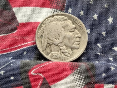 1924-D Buffalo Nickel.