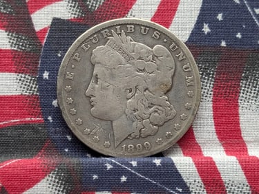 1899-P Morgan Dollar