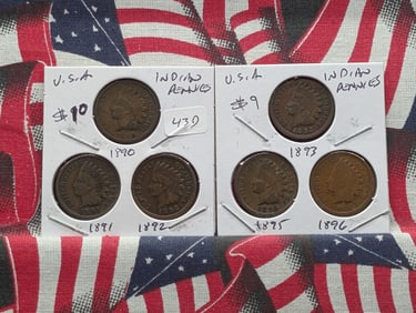 1890, 1891, 1892, 1893, 1895, 1896 Indian Head Cents Pre-1900 Dates!