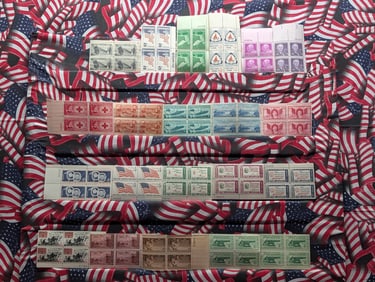 (20) Assorted US Plate Blocks All MOGNH