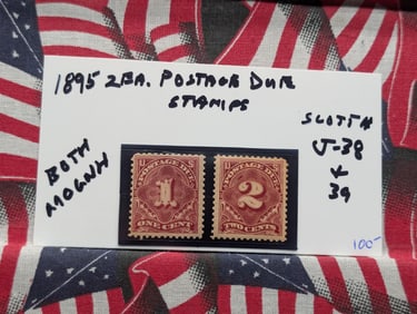 (2) 1895 Postage Due Stamps J38-39 MOGNH
