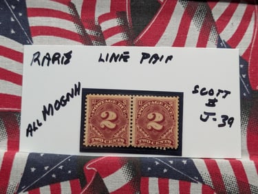 (2) 1895 Line Two Cent Postage Due Stamps J-39 MOGNH