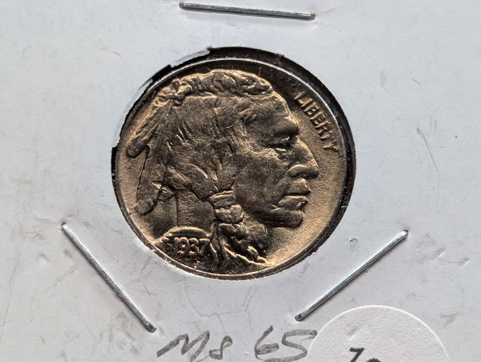 1937-D Buffalo Nickel w/Full Horn & Split Tail (1 of 3)
