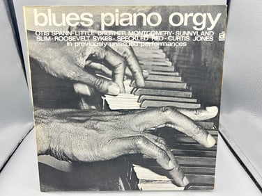 1972 Blues Piano Orgy Vinyl Album - DS-626
