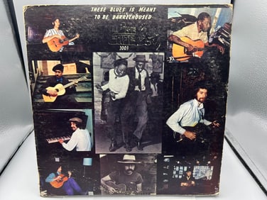 1970 These Blues Is Meant To Be Barrelhoused Promo Vinyl Album - BG-2003 - Seam Splitting