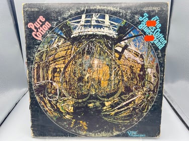 1968 The James Cotton Blues Band Pure Cotton Vinyl Album - FTS3038