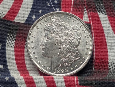 1896 Morgan Silver Dollar