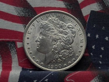 1900 Morgan Silver Dollar