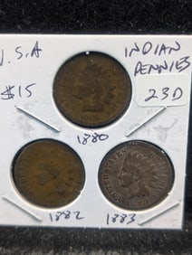 1880, 1882, 1883 Indian Head Pennies - Better 1880's Dates!