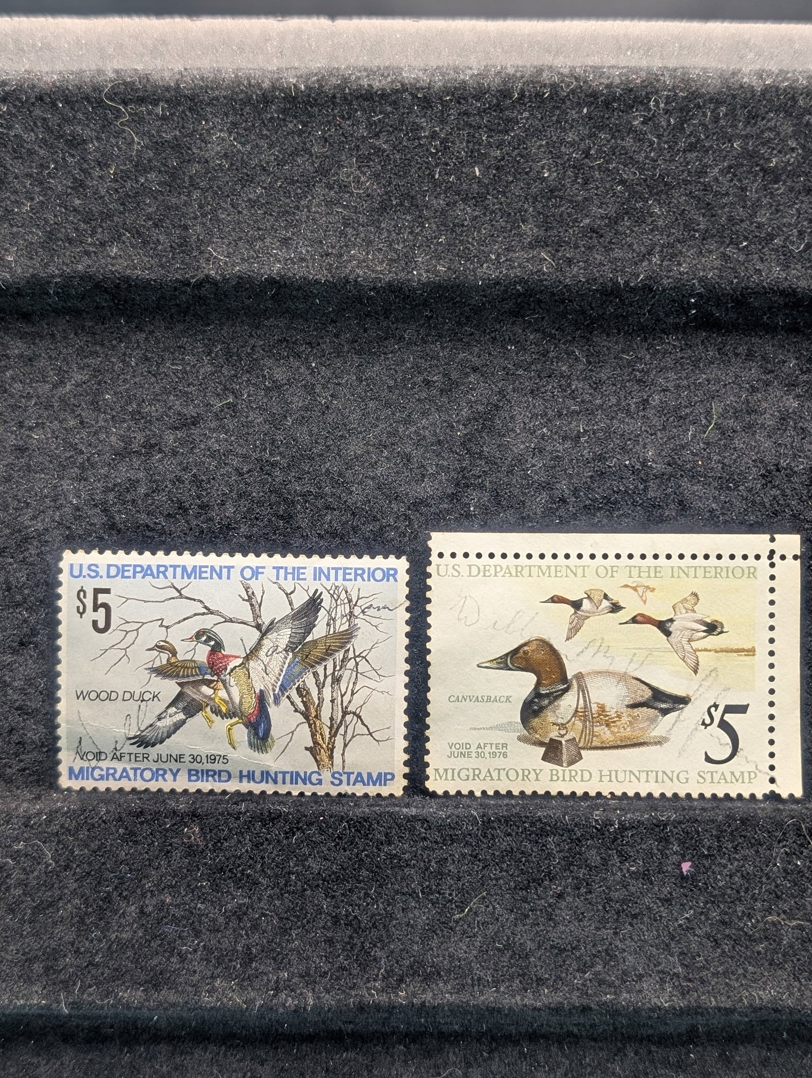 1975 & 1976 Federal Duck Stamps: 1975 & 1976 Federal Duck Stamps