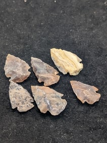 Six Modern Stoned Arrowheads