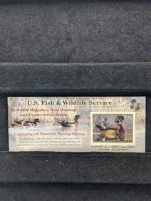 2019 Dept of Interior Duck Stamp Scott # RW66 MOGNH
