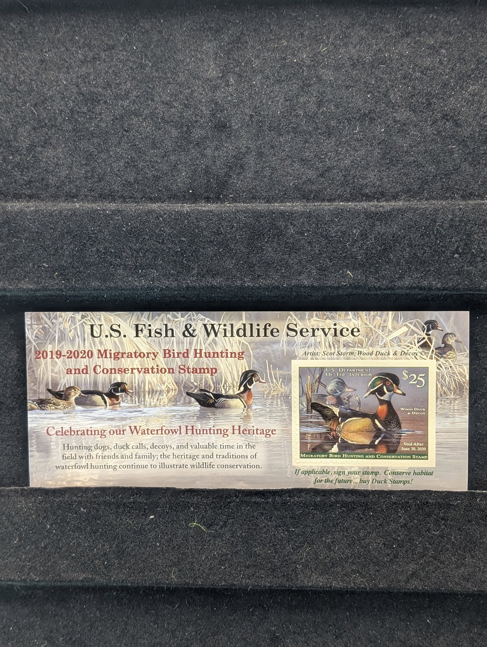 2019 Dept of Interior Duck Stamp Scott # RW66 MOGNH: 2019 Dept of Interior Duck Stamp Scott # RW66 MOGNH