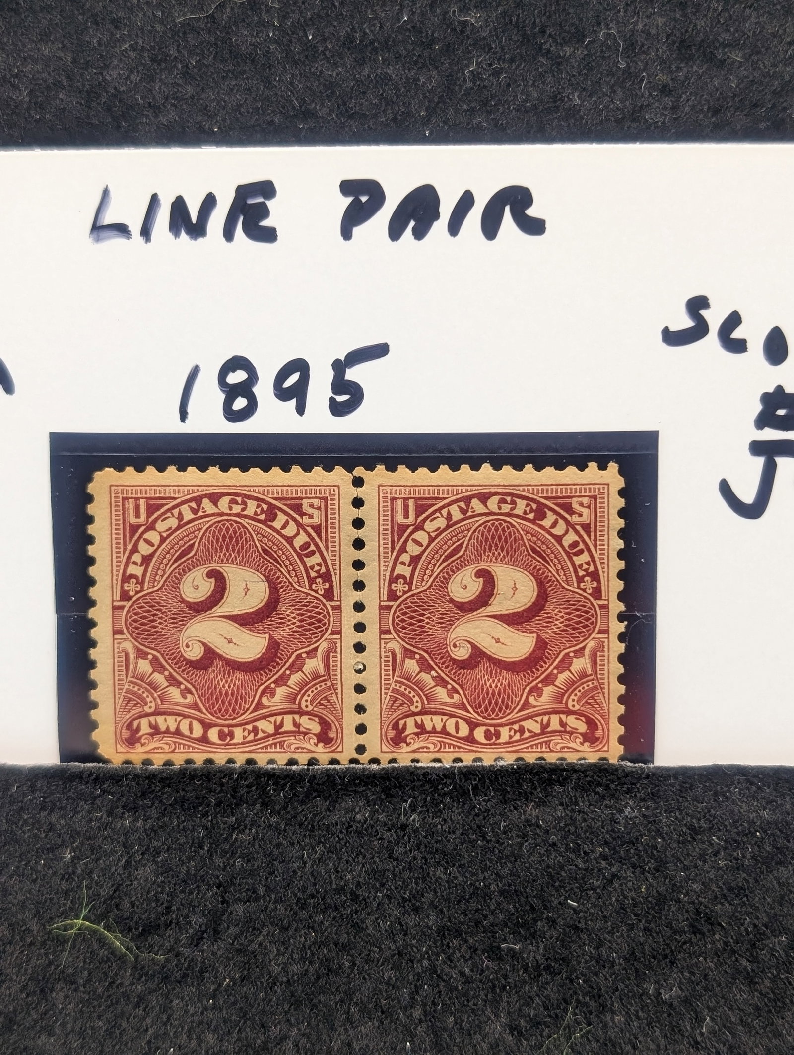1895 Line Pair Two Cent Postage Due Rare Scott # J-39 MOGNH: 1895 Line Pair Two Cent Postage Due Rare Scott # J-39 MOGNH