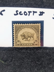 1922-25 Buffalo Stamp Scott # 569 MNH