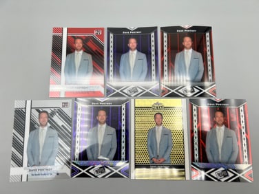 Lot of (7) 2024 Leaf/Pro Set/ & Press Pass Dave Portnoy 1/1 Parallel Cards