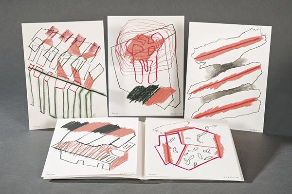 LUIS GORDILLO- Images a Voice (1 of 1)