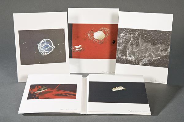 BLANCA MUÑOZ - Cosmos 2000 (1 of 1)