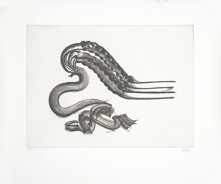 MARTIN CHIRINO - Root of the Wind (1 of 1)