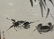 Chinese Watercolor Painting of Two Crabs by Xu Duo - 4