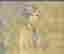 item-96163196=3