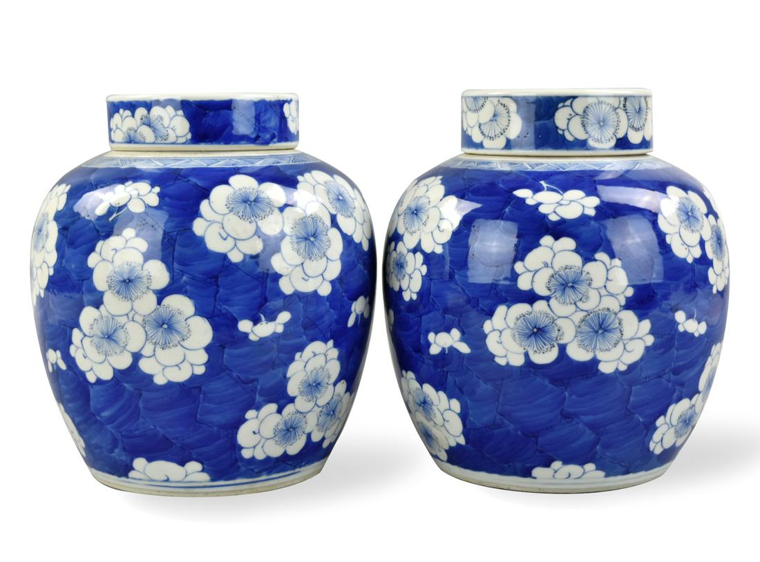Pair of Chinese B & W Prunus Jar, Kangxi Period (1 of 9)