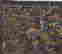 item-111982491=6