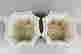 item-130704179=6