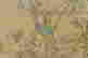 item-130704371=8