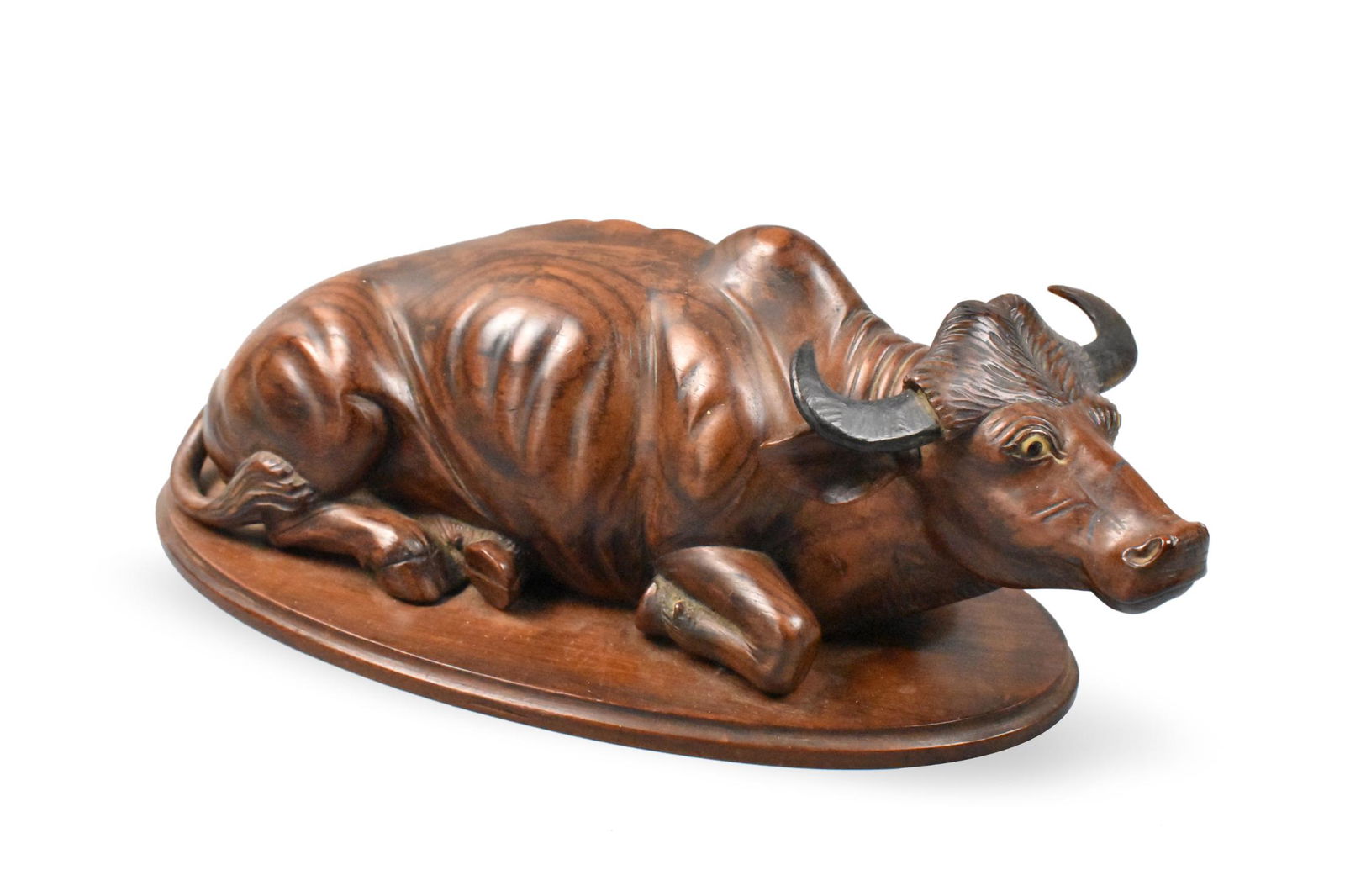 Chinese Huangyang Wood Carved Buffalo Figure: A Chinese huangyang wood carved buffalo. The animal rests on all four legs, tail curved around, with head raised and large horns to the sides. Beautiful grain detail and handling of the weight distrib