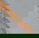 item-210578042=11