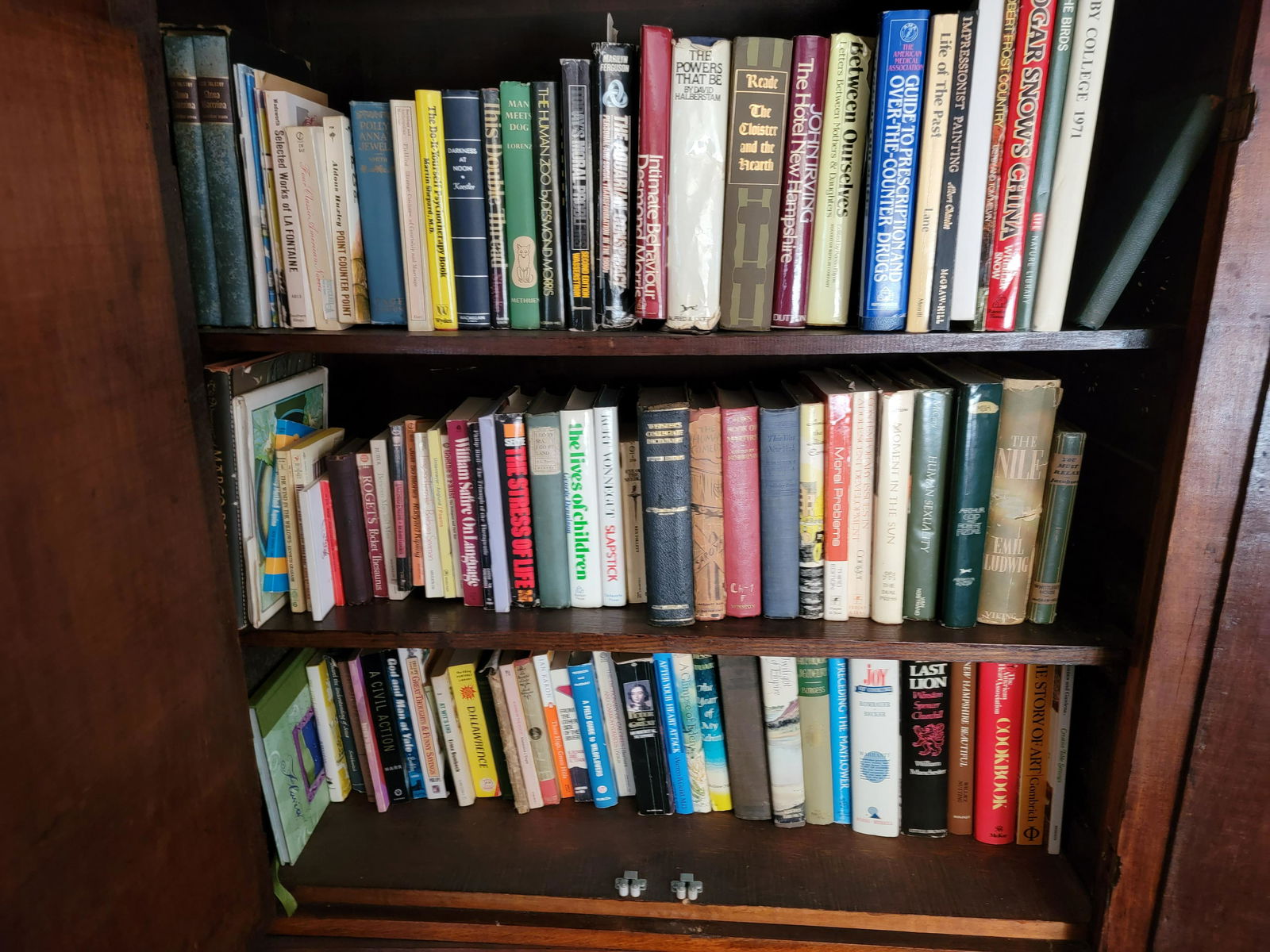 COLLECTION OF BOOKS (1 of 2)