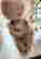 item-131061075=4