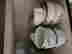 item-131061101=13