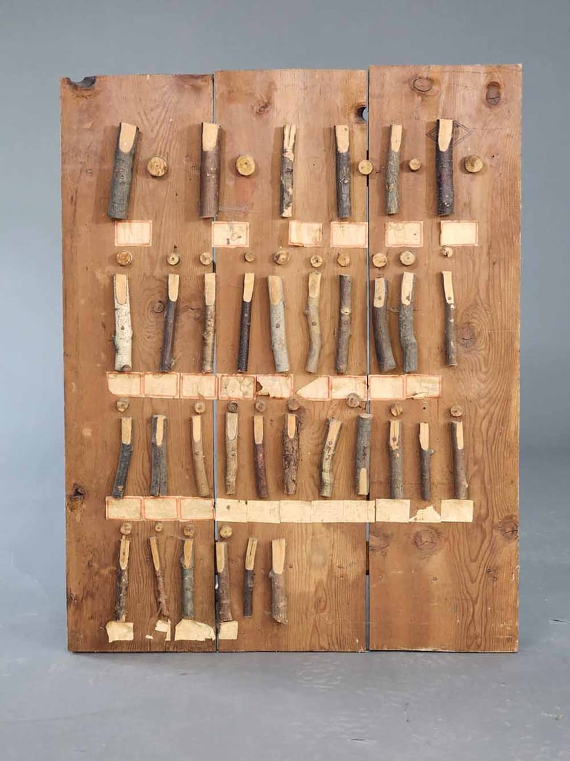 WOOD SPECIMEN BOARD (1 of 3)